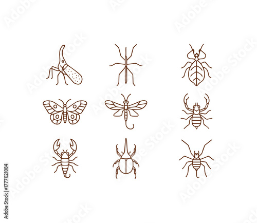 Intricate Brown Outline Illustrations Featuring Various Insects and Arachnids