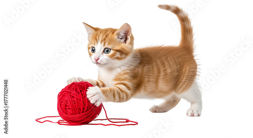 Adorable Orange Tabby Kitten Playing with Red Yarn Ball isolated on transparent background