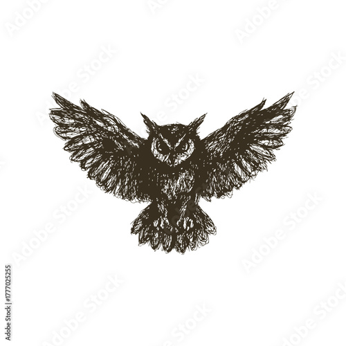 Owl with Wings Spread