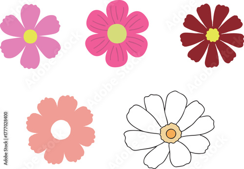 가을에 피는 코스모스 꽃 일러스트 2