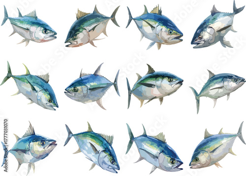 Watercolor Tuna Mackerel Clipart