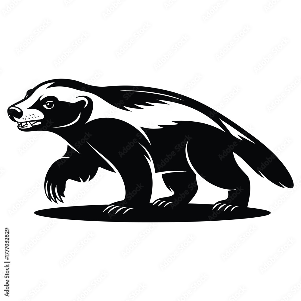 Obraz premium honey badger