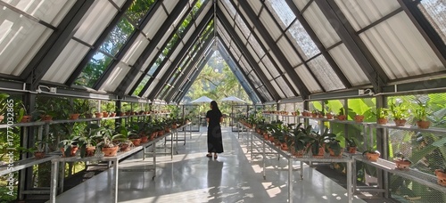 Woman standing alone in the center of a modern A-frame greenhouse or plant nursery, looking out at the lush outdoor greenery.
