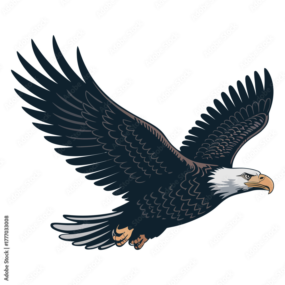Fototapeta premium american bald eagle
