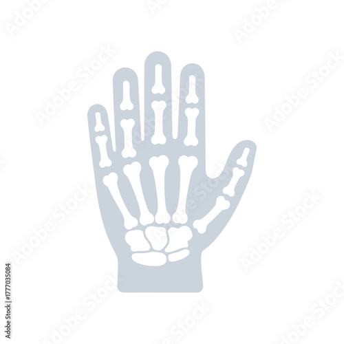 Anatomy of a human hand, showing the bones in a detailed, artistic, and medical illustration.