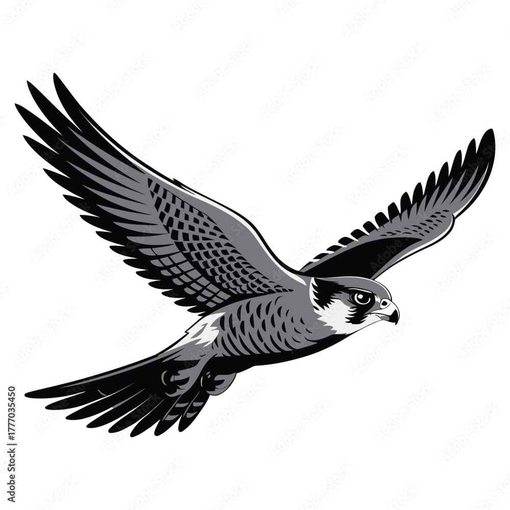 Naklejka premium eagle in flight