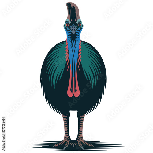Cassowary