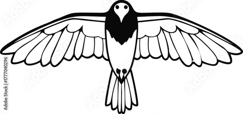 Black and white flying bird illustration from above, minimalist linear drawing of a bird in flight, elegant avian artwork