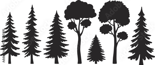 Silhouettes of Coniferous and Deciduous Trees in Varied Shapes for Botanical, Landscape, and Nature-Themed Design Illustrations