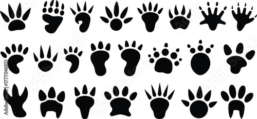 Silhouettes of Diverse Animal Paw Prints Featuring Mammal, Bird, and Reptile Tracks for Nature, Wildlife, and Educational Illustration