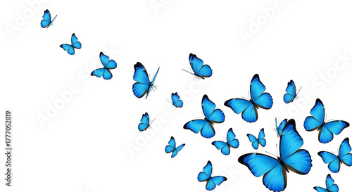 A striking butterfly with vibrant colors radiates, a dazzling display against a deep, dark backdrop.