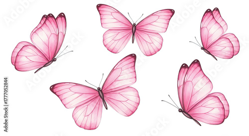 Five pink butterflies scattered on a black backdrop create a whimsical and delicate arrangement.
