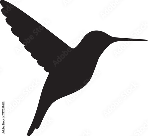 Hummingbird Hovering Vector Silhouette