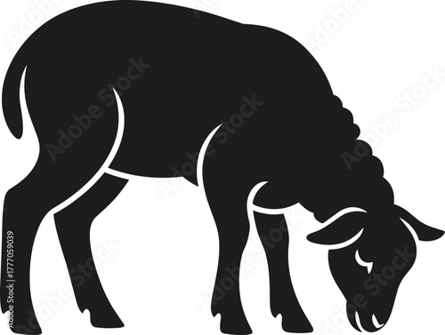 Black sheep vector silhouette grazing on white background