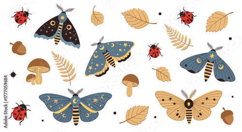Whimsical illustration of celestial moths, ladybugs, and autumn forest elements on a white background.