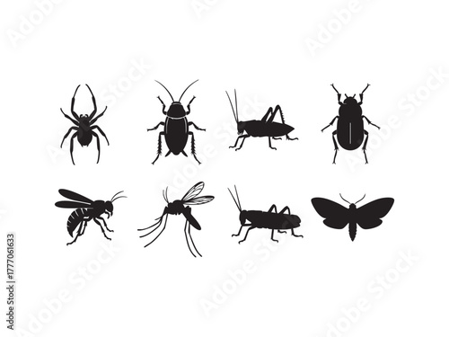Illustration of a collection of insect silhouettes featuring a spider, beetle, wasp, and other creepy crawlies
