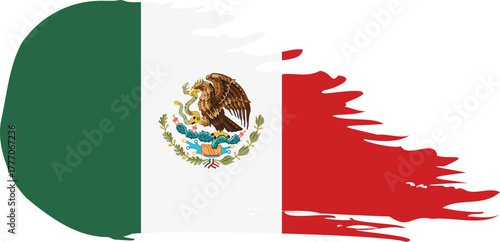 mexico comet flag fly, grunge brush vector