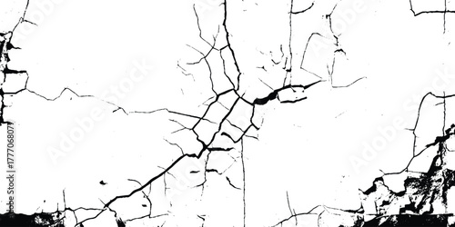 Vector group of black branch grunge cracks isolated on white background. 