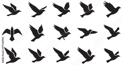 Flock of flying birds shape set collection pack black icon silhouette vector flat illustration design on white background