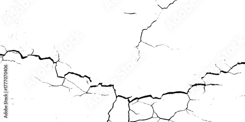 Vector group of black branch grunge cracks isolated on white background