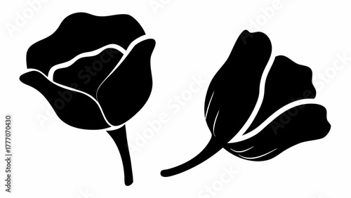 Elegant floral design element offering a modern botanical feel, ideal for invitations, stationery, and sophisticated branding with a minimalist aesthetic