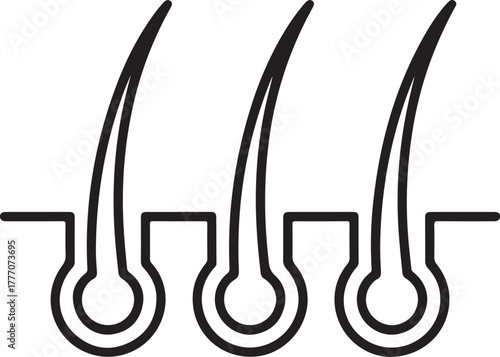 Stylized illustration of healthy hair follicles and strands