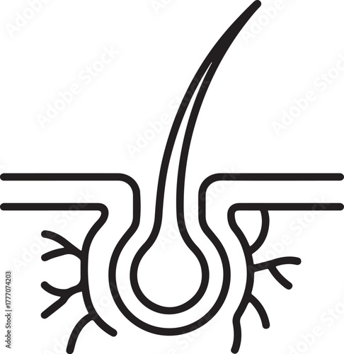 Stylized line art illustration of a hair follicle and strand