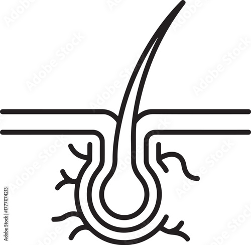 Stylized illustration of a human hair follicle and strand