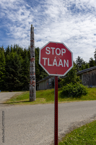 Masset Stop Tlaan