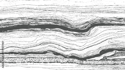 Black and white cross section of layered rock strata with varied textures and wavy lines geology layers