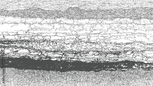 Detailed monochrome cross section of sedimentary rock layers and soil texture geology pattern