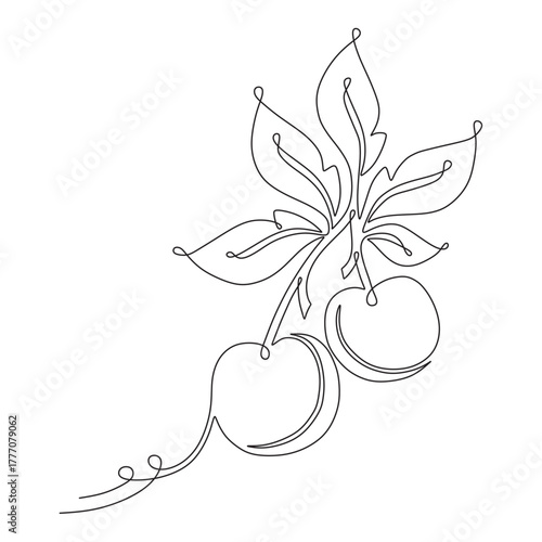 continuous line of cherry fru...