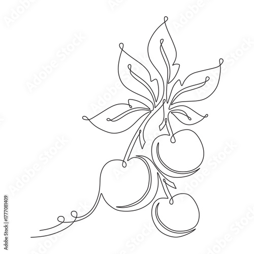 continuous line of cherry fru...