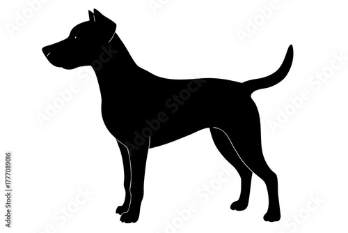 A sleek black silhouette of a muscular dog standing alert with its tail held high against a clean white background representing loyalty and strength silhouette