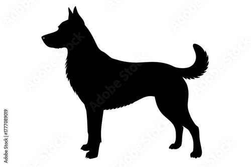 A striking black silhouette of a medium sized dog standing alertly with its tail curled and ears perked isolated on a clean white background showcasing a distinctive silhouette style