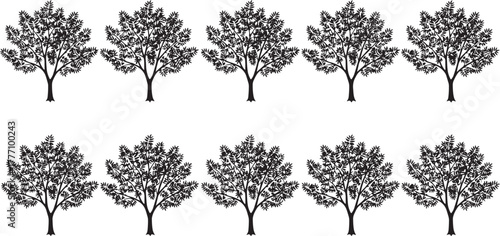 Set of tree silhouettes including oak, pine, and deciduous trees for vector illustration showing seasonal changes from summer green to autumn leaves and winter branches