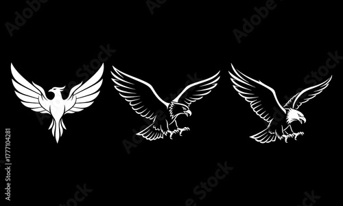 Hawk and eagle vector logos collection