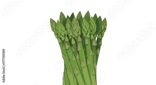 A vibrant bundle of fresh, green asparagus spears stands upright, ready for healthy cooking and culinary delight.