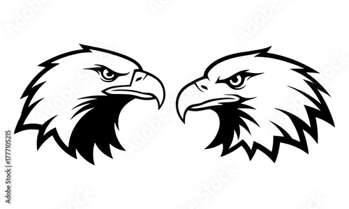 Hawk or eagle head logo vector art
