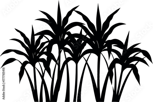 sugarcane plant silhouette, bamboo tree black symbol, 