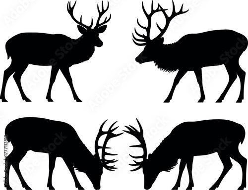 Set of Deer Stag Silhouettes with Fighting Poses Vector