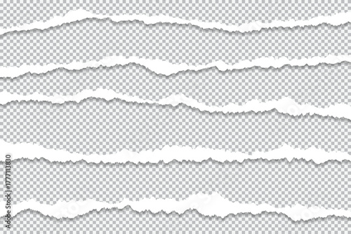 Five long pieces of shredded paper with a transparent background and isolated ripped edges