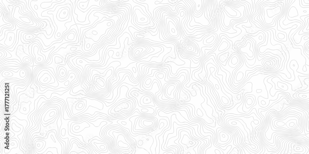 Fototapeta premium Minimal vector topo paper lines Topographic contour lines grid map seamless pattern. Geographic mountain relief. Abstract lines background. Contour maps. illustration, Topo contour map design. 