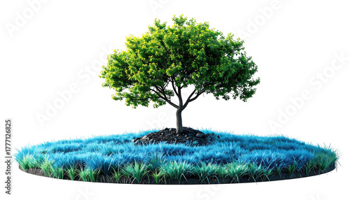 Solitary tree on a small patch of blue grass, isolated