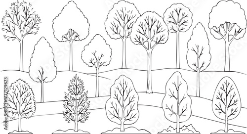 Simple Forest Tree Silhouettes Sketch | Black and White Outlines for Coloring Books and Educational Resources
