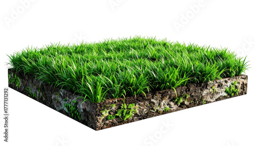 Grass patch cut, showing soil layers