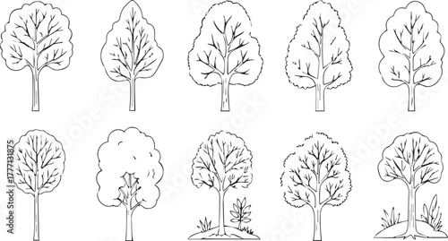 Set of Trees Drawn with Black Lines | Tree Illustrations for Ecology, Forest, or Educational Material