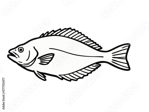 Simple illustration of a flounder. Simple. Seafood. Sketches, doodles. Monochrome.