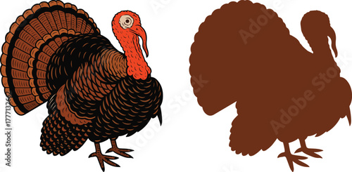 Turkey vector illustration icon