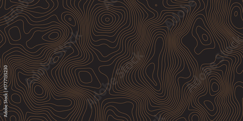 Elegant dark contour line pattern resembling topographic map design. Abstract wavy lines creating a modern, minimal texture. Perfect for backgrounds, wallpapers, or branding visuals.